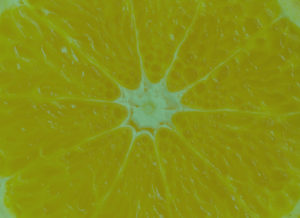 citrus-close-up-background