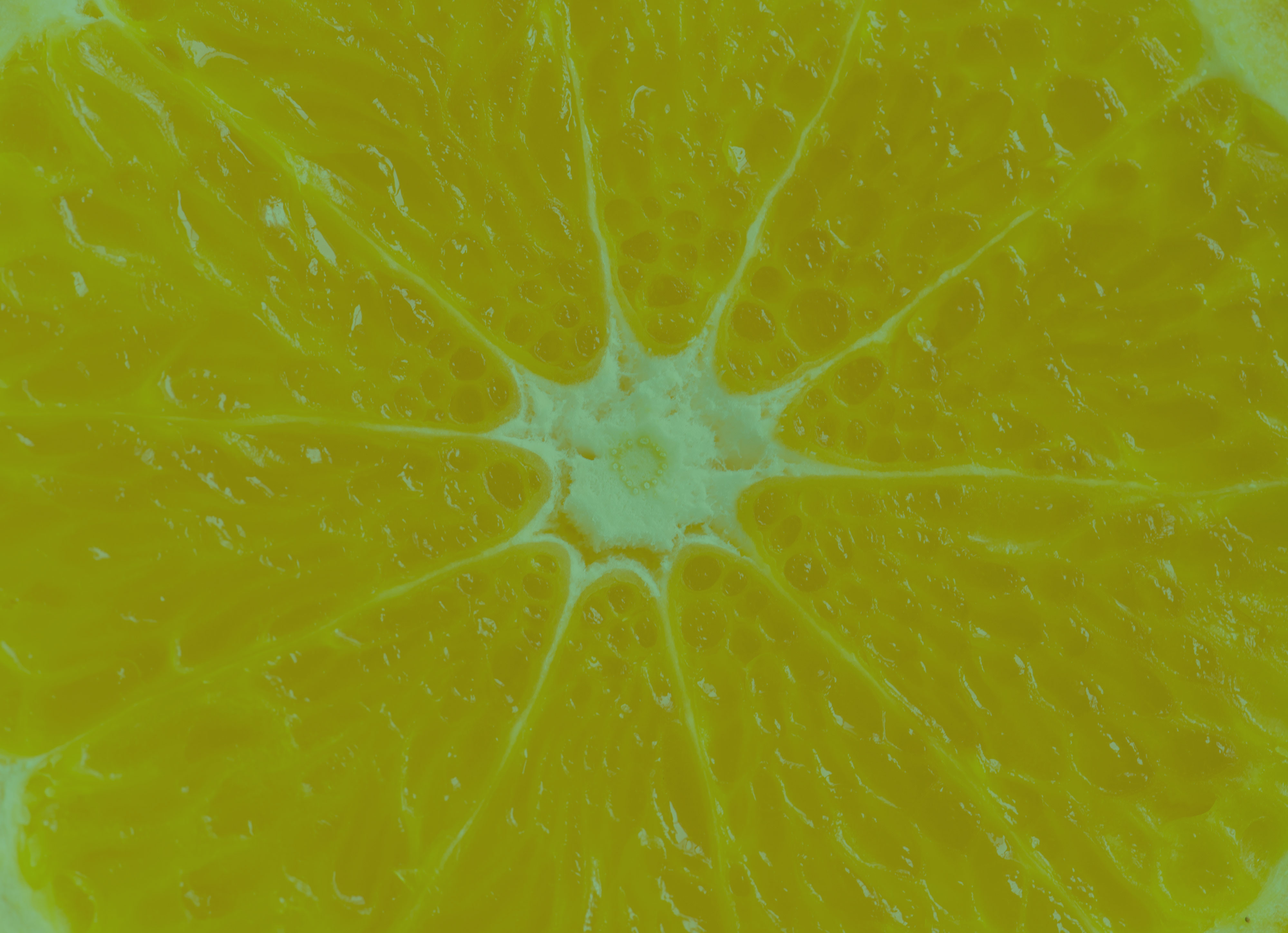 citrus-close-up-background