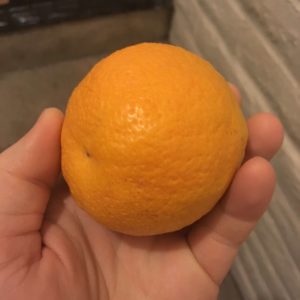 citrus: this is your flu shot