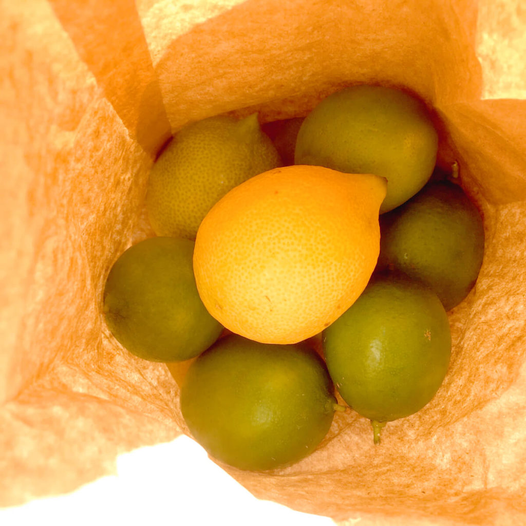 citrus fruit in a bag